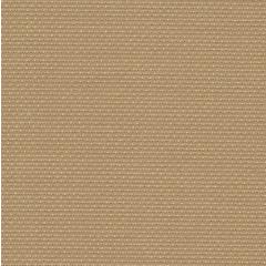 Zweigart Stern-Aida 14ct - Farbe 300 dunkelsand (Meterware)