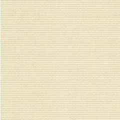Zweigart Stern-Aida 14ct - Farbe 770 platin (Meterware)