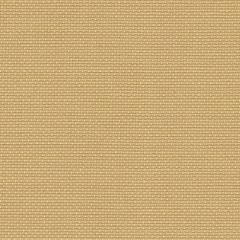 Zweigart Fein-Aida 18ct - Farbe 3040 safari (Meterware)