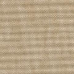 Zweigart Fein-Aida 18ct - Farbe 3009 vintage milchkaffee (Meterware)