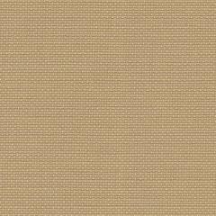 Zweigart Fein-Aida 18ct - Farbe 300 dunkelsand (Meterware)