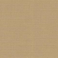 Zweigart Aida Meterware 18ct - Farbe 300 dunkelsand