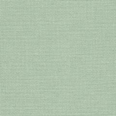 Zweigart Fein-Aida 18ct - Farbe 611 reseda (Meterware)