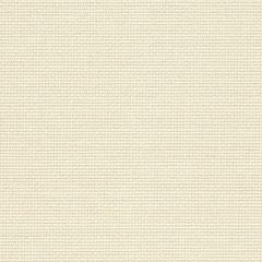 Zweigart Fein-Aida 18ct - Farbe 770 platin (Meterware)