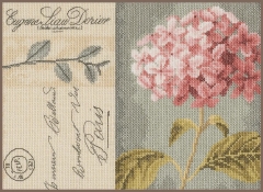 Lanarte - Hydrangea