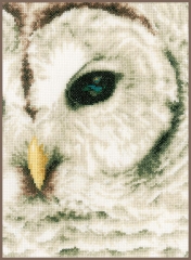 Lanarte - Owl
