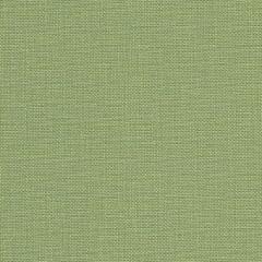 Zweigart Murano 32ct - Farbe 6016 moosgrün (Meterware)