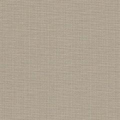 Zweigart Murano 32ct - Farbe 779 graubeige (Meterware)
