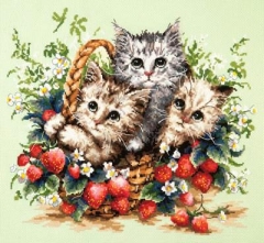 Magic Needle Stickpackung - Lovely Kittens