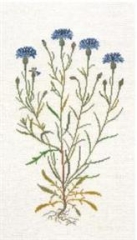 Haandarbejdets Fremme - Kornblumen