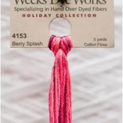 Berry Splash - Weeks Dye Works Hand Dyed Floss