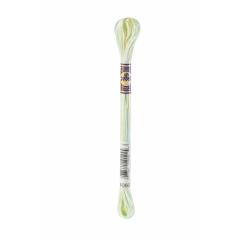 DMC Color Variations Stickgarn - 4060 Weeping Willow