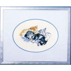 Oehlenschläger - Katzen