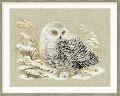Riolis - Stickbild White Owl
