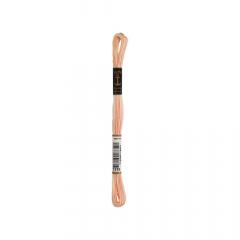 Anchor Stickgarn (Sticktwist) - 1318 apricot multicolor