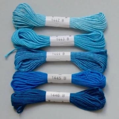 Soie dAlger Au Ver A Soie Seidenstickgarn Farbe 1445 cyan