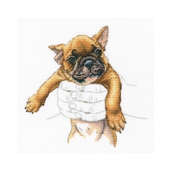 RTO Stickpackung - In Palms - French Bulldog