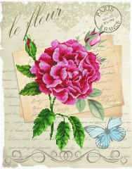 Stickpackung Needleart World - Rose Bloom