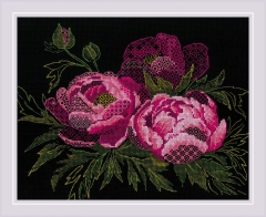 Riolis - Stickbild Lace Peonies