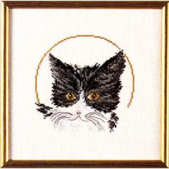 Oehlenschläger - Schwarze Katze