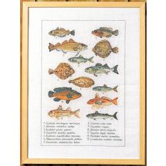 Permin Stickpackung - Sampler Fische 41x56 cm