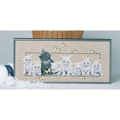 Oehlenschläger - Katzenreihe