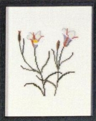 Fremme Stickpackung - Sego Lily Utah