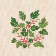 Fremme Stickpackung - Johannisbeeren