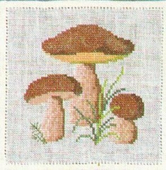 Fremme Stickpackung - Steinpilz