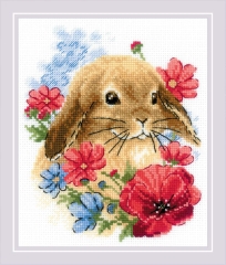 Riolis Stickpackung - Bunny in Flowers