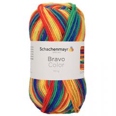 Bravo Color Schachenmayr - Nizza Color (00090)