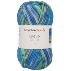 Bravo Color Schachenmayr - Aqua Jacquard Color (02080)