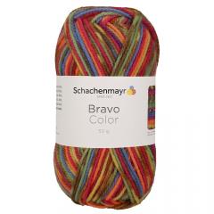 Bravo Color Schachenmayr - Rainbow Jacquard Color (02085)