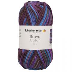 Bravo Color Schachenmayr - Violett Color (02086)