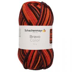 Bravo Color Schachenmayr - Vesuv Color (02087)
