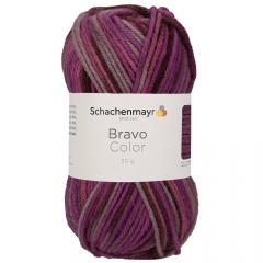 Bravo Color Schachenmayr - Beere Color (02088)