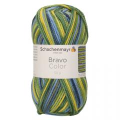 Bravo Color Schachenmayr - Barcelona Color (02093), Ausverkauf Restbestand