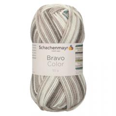 Bravo Color Schachenmayr - Nebel Color (02108)