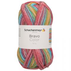 Bravo Color Schachenmayr - Clown Color (02120)