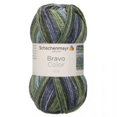 Bravo Color Schachenmayr - Moor Color (02122)
