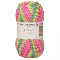 Bravo Color Schachenmayr - Wassermelone Color (02123)