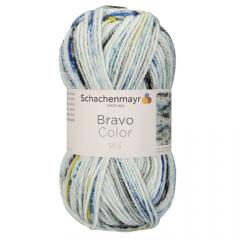 Bravo Color Schachenmayr - Sporty Color (02037) Ausverkauf