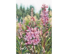 RTO - Raspberry Candles of Willowherbs