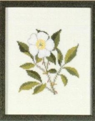 Fremme Stickpackung - Cherokee Rose Georgia 17x21 cm