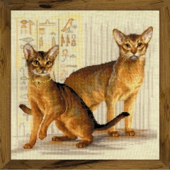 Stickpackung Riolis - Abyssinian cats 40x40 cm