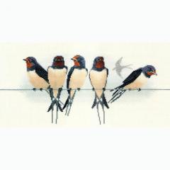 Derwentwater Designs - Birds - Swallows