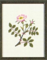 Fremme Stickpackung - Wild Rose North Dakota 17x21 cm