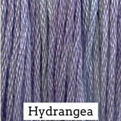Hydrangea - Classic Colorworks