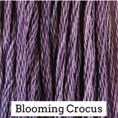 Blooming Crocus - Classic Colorworks