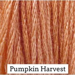 Pumpkin Harvest - Classic Colorworks